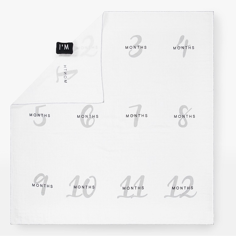 Pottery Barn Baby Milestone Blanket